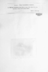 Phlebia tremellosa image